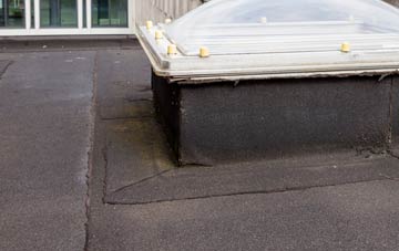 disadvantages of Glan Y Llyn flat roofs
