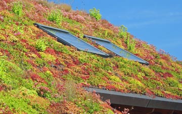 Glan Y Llyn living roof systems