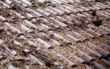 Glan Y Llyn roof cleaning companies