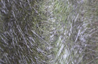 Glan Y Llyn fibreglass roof work